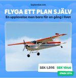 Flygsjälv.jpg