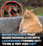 1713433979982.png
