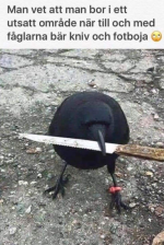 1713440570992.png