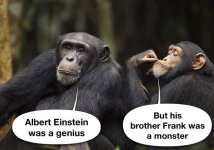 Einsteins.jpg