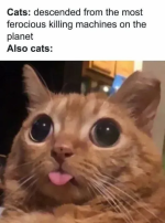 1713509829088.png