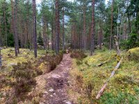 IMG_1666.JPG