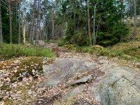 IMG_1665.JPG