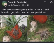 1713776556980.png