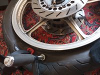 IMG_20240425_110816.jpg
