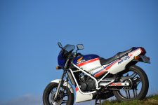 DSC_0120.JPG