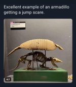 1714243332652.png