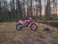 DSC_0717~2.JPG DSC_0717~2.JPG