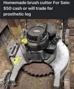 cut.jpg