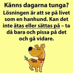 1715580881356.png