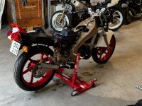 IMG_7009.jpeg
