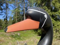 IMG_6308.jpeg