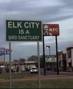 1716376458347.png