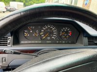 IMG_7036.jpeg IMG_7036.jpeg