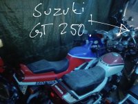 IMG_8017.jpeg