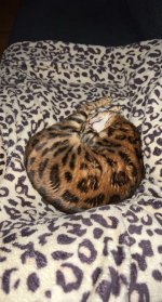 IMG_5632.jpeg