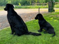 IMG_2024-06-01-184409.jpg