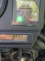 IMG_2387.jpeg