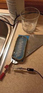 IMG_20240616_004616.jpg