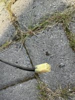 IMG_7622.jpeg