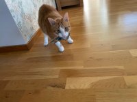 IMG_7520.jpeg