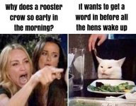 FB_IMG_1719681050179.jpg