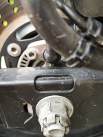 IMG_20240707_130712.jpg