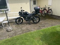 IMG_8102.jpeg
