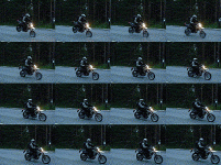 DSC00144.gif