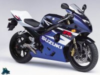 suzuki-gsxr1000-05-bikepics-151391.jpg