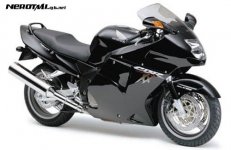 Honda%20ACF97C%201100xx%20super%20blackbird.jpg