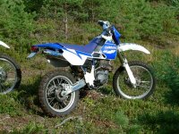 27828_ogl_s.jpg