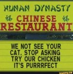 chinesecat.jpg chinesecat.jpg
