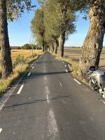 IMG_2280.jpeg