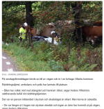 Bil i kohage.png