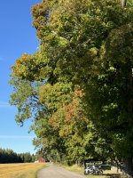 IMG_2164.jpeg