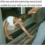 1732270352827.png