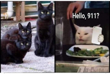 1732293164185.png