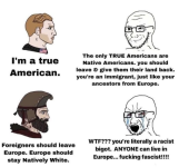 1732293468696.png