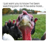 1733301019951.png