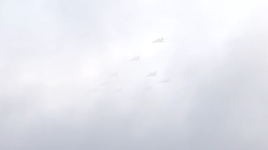 1733938672357.png