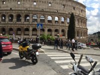 IMG_2464.jpeg