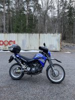 IMG_5933.jpeg