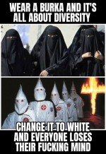 1739457216911.png