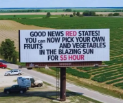 1739469009422.png