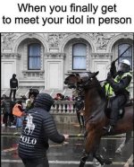 1000012343.jpg