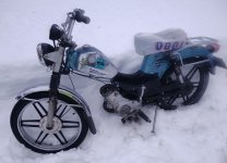 IMG_20250222_130200_726 (1).jpg