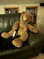 IMG_2671.jpeg