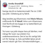 strandskatan.jpg