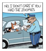 1742105643824.png